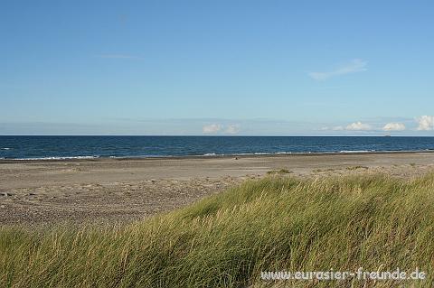 (Foto Goslar)_daenemark_2010_IMG_1061_Skagen_Nordstrand.jpg